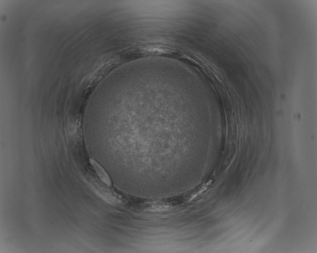 X0000074340601200608251353