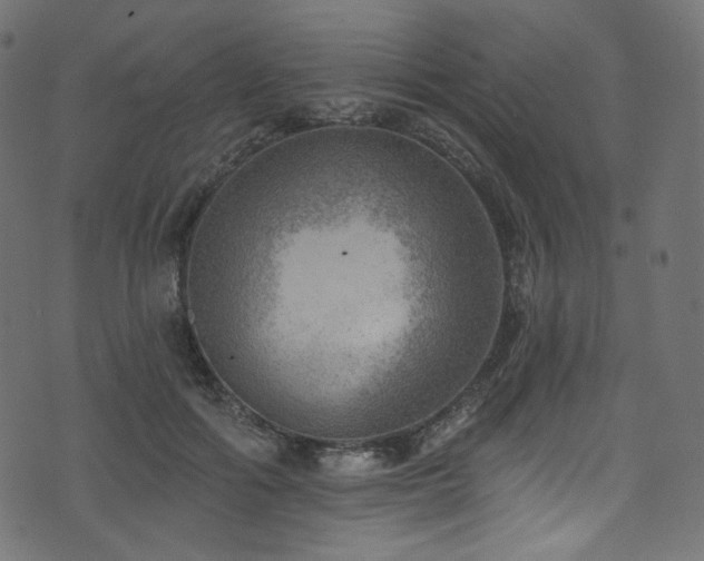 X0000074340602200608251353