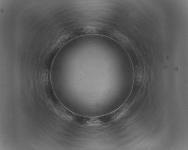 X0000074340603200608251353