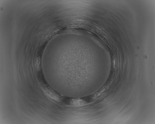 X0000074340605200608251353