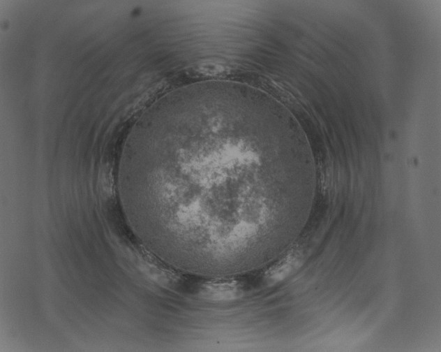 X0000074340606200608251352