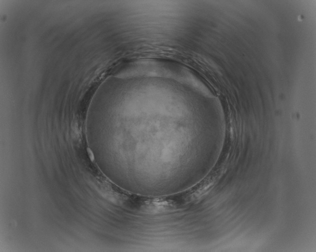 X0000074340607200608251352