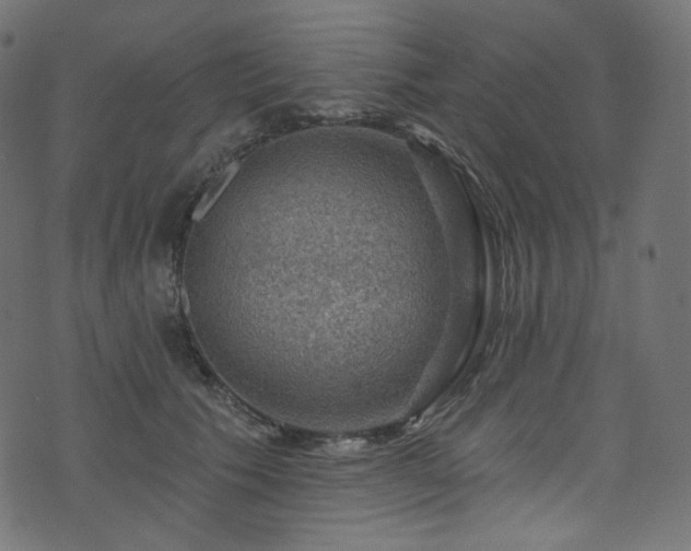 X0000074340609200608251352