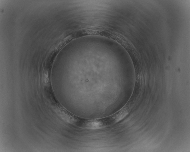 X0000074340610200608251352