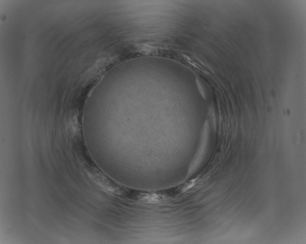 X0000074340611200608251352