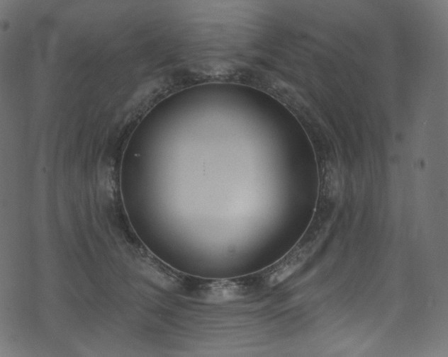 X0000074340612200608251352