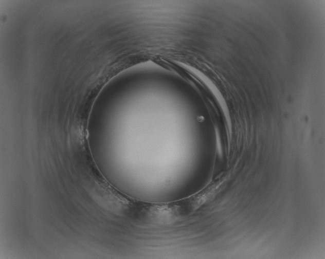 X0000074340613200608251352