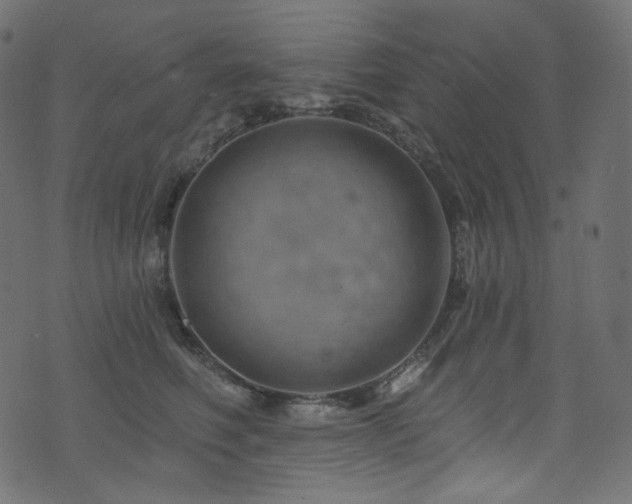 X0000074340614200608251352