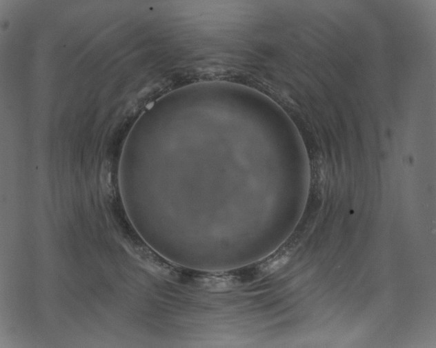 X0000074340615200608251352