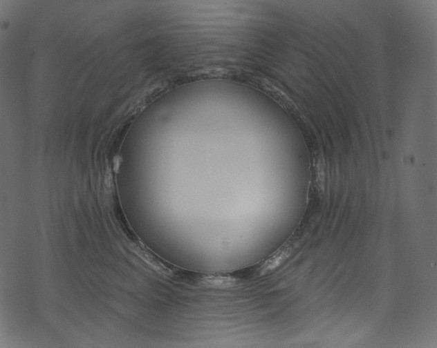 X0000074340617200608251352