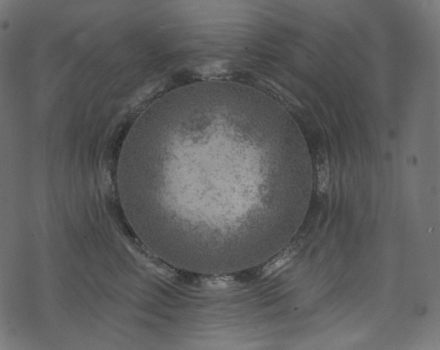 X0000074340618200608251352