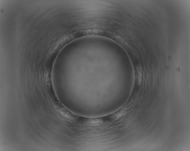 X0000074340619200608251352