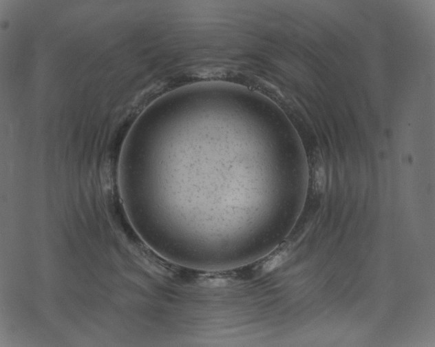 X0000074340620200608251352