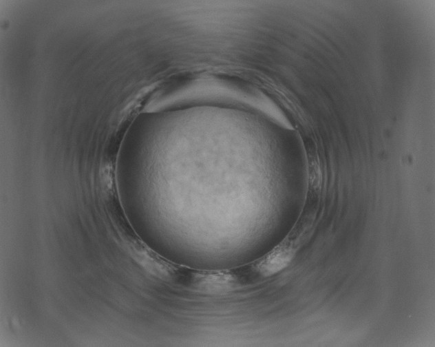 X0000074340621200608251352