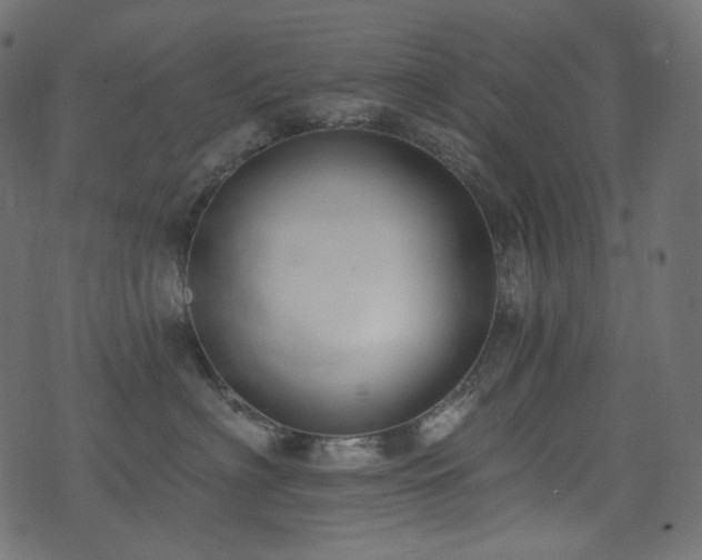 X0000074340622200608251352