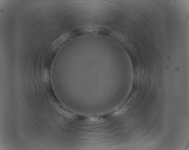 X0000074340623200608251352