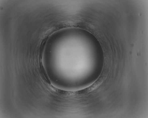 X0000074340624200608251352