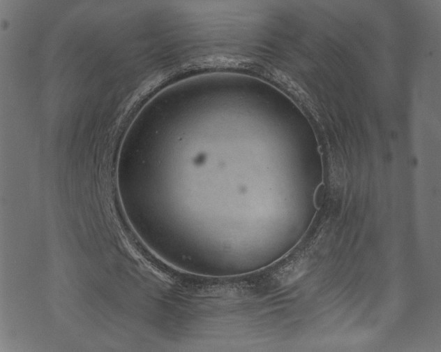 X0000074340625200608251351