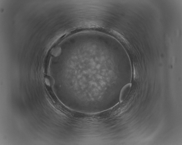 X0000074340627200608251351