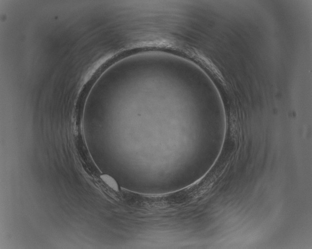 X0000074340628200608251351