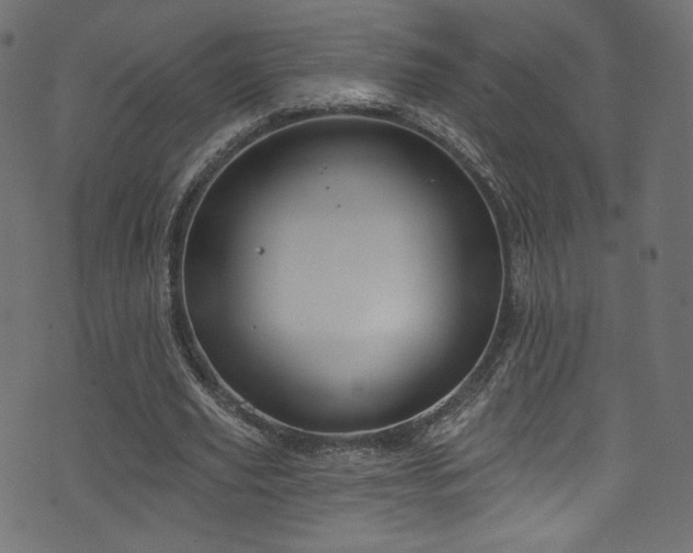 X0000074340629200608251351