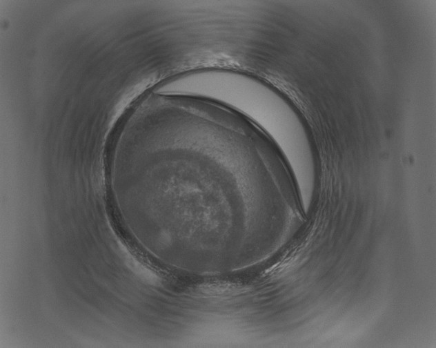 X0000074340630200608251352