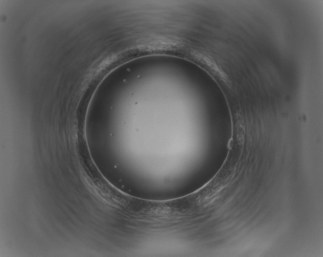 X0000074340631200608251352