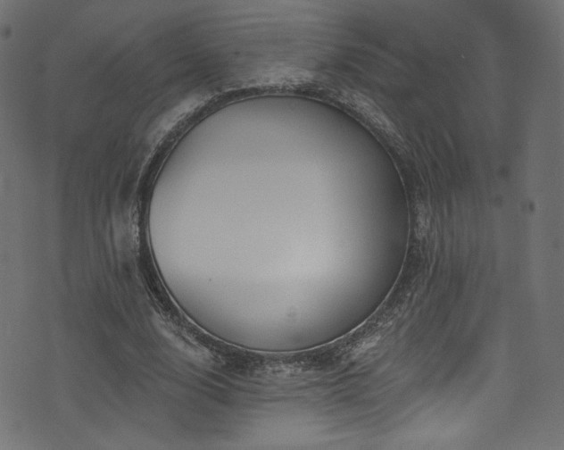 X0000074340632200608251352