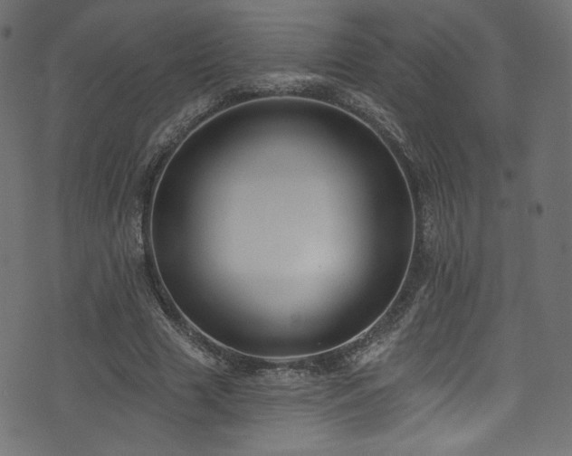 X0000074340633200608251352