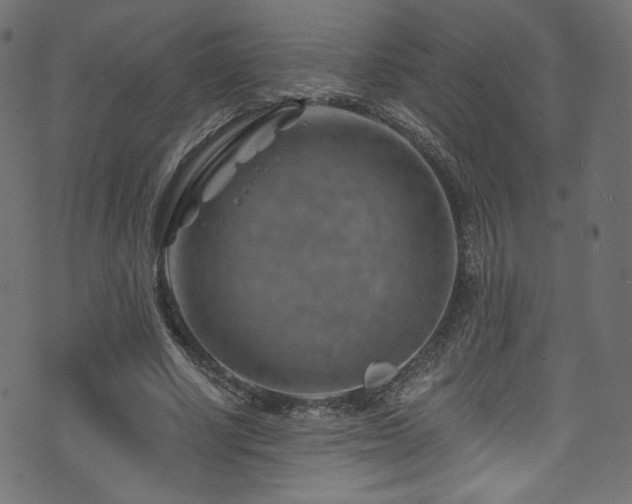 X0000074340634200608251352