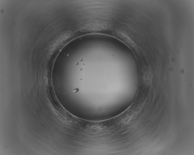 X0000074340635200608251352