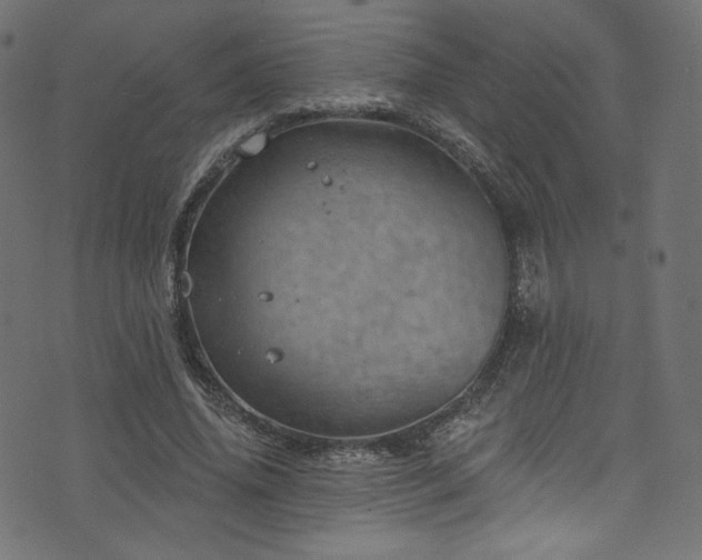 X0000074340636200608251352