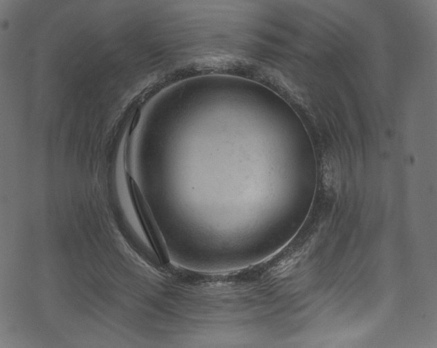 X0000074340637200608251352