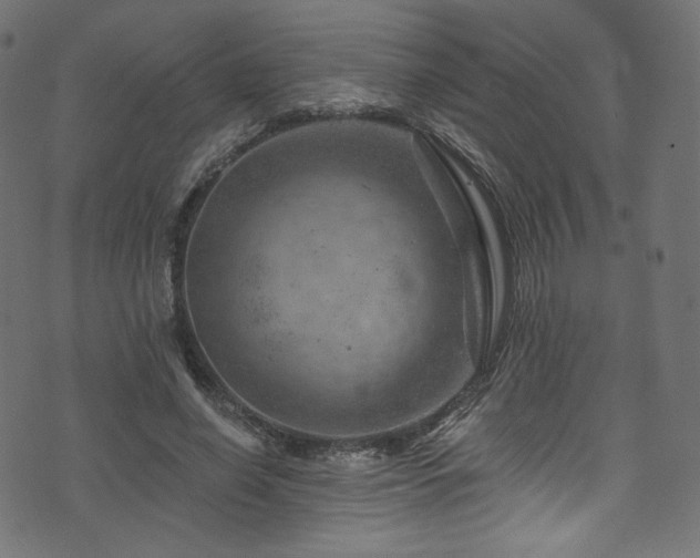 X0000074340638200608251352