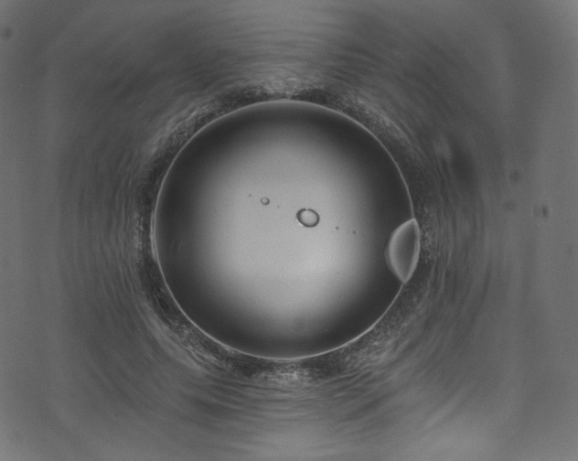 X0000074340639200608251352