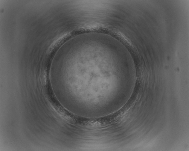 X0000074340640200608251352