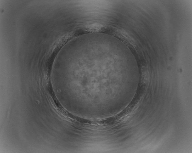 X0000074340641200608251352