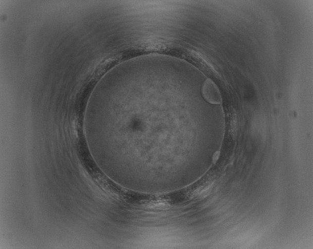 X0000074340643200608251352