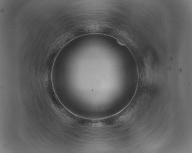 X0000074340645200608251352