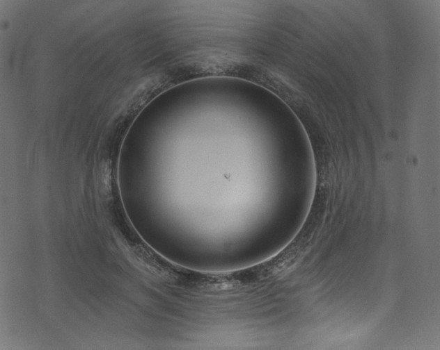 X0000074340646200608251352