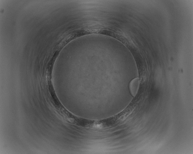 X0000074340647200608251352