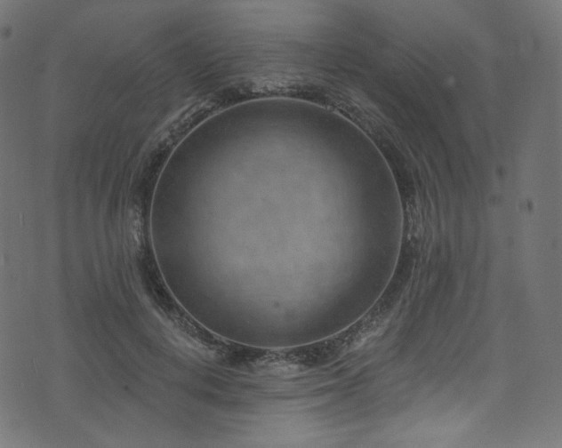 X0000074340648200608251352