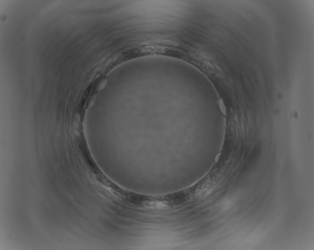 X0000074340649200608251352