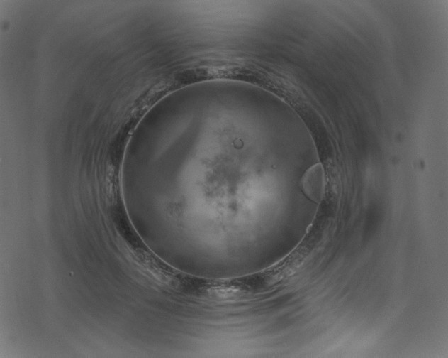 X0000074340650200608251352