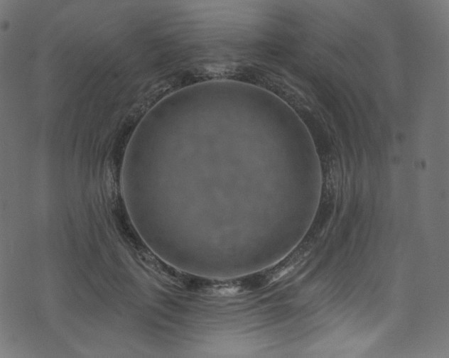 X0000074340651200608251352