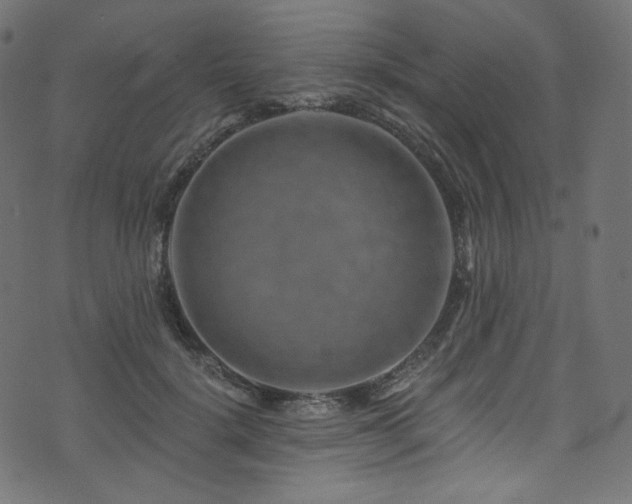 X0000074340652200608251352