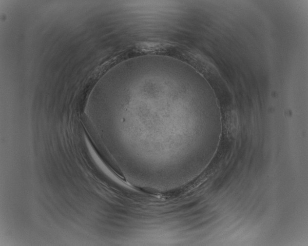 X0000074340653200608251352