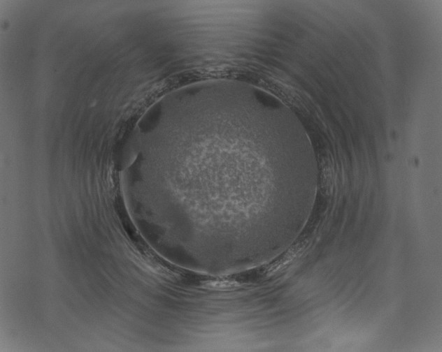 X0000074340654200608251352