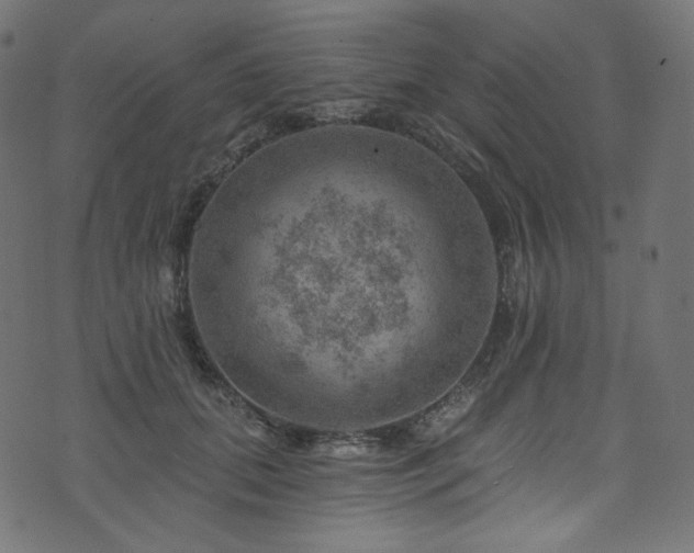 X0000074340655200608251352