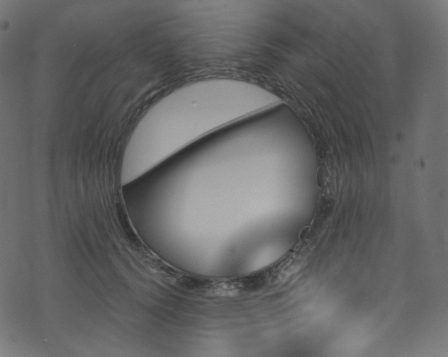 X0000074340656200608251352